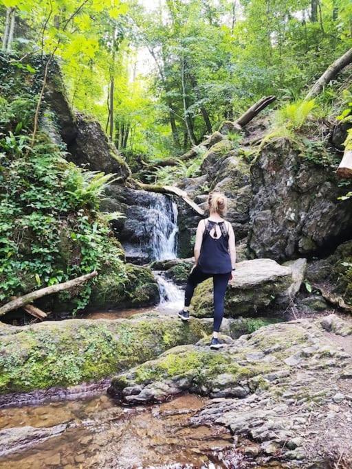 Au Jardin D'Eden Villa Hastiere-par-dela Luaran gambar